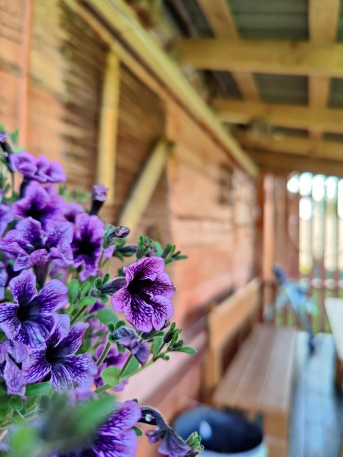 Zalioji Villa Paduyelis Dış mekan fotoğraf