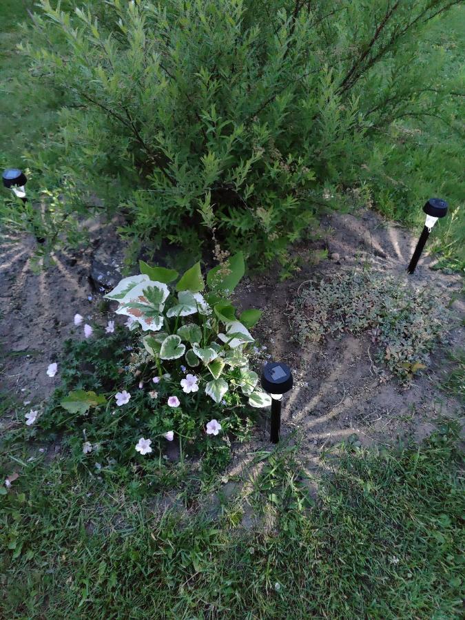 Zalioji Villa Paduyelis Dış mekan fotoğraf